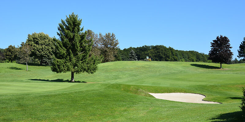 Trou n° 14: Woodpecker