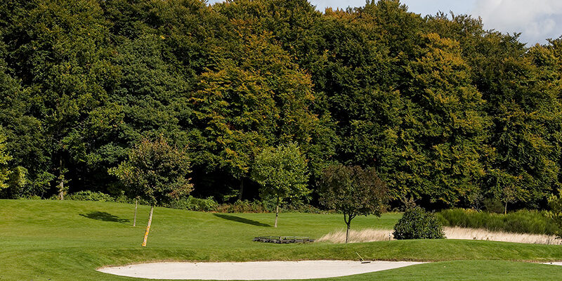 Trou n° 16: Sandbox