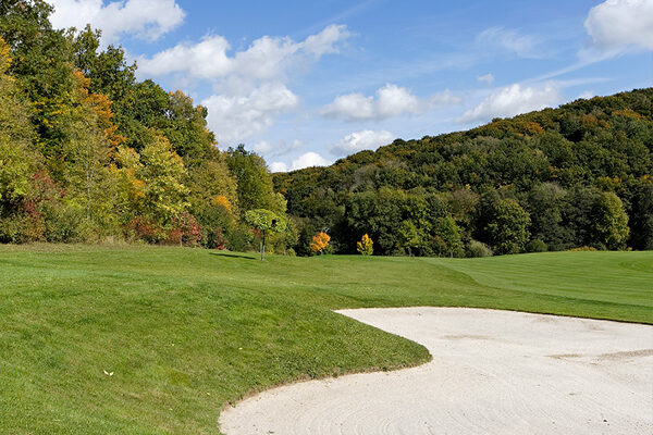 Palmares-image-on-the-left